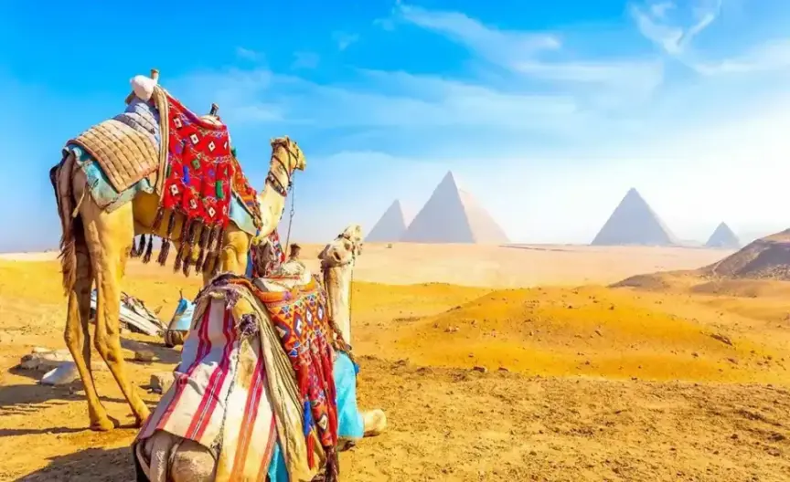 Giza Pyramids Tour, Sound and Light Show with Lunch